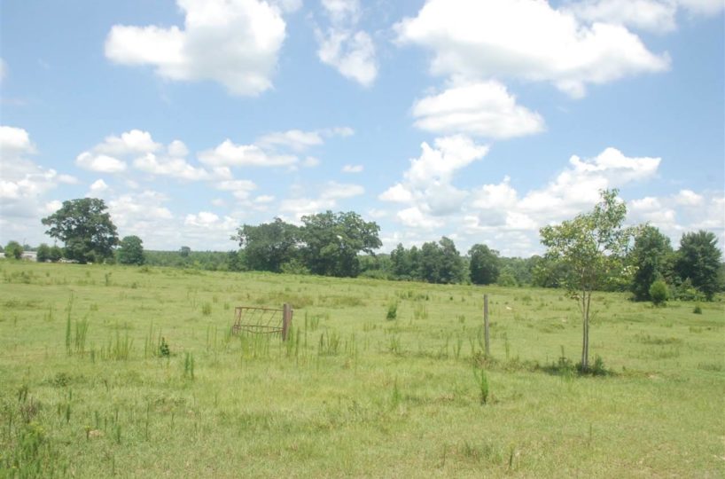 grassy field vacant lot