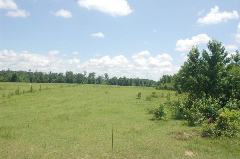 grassy vacant field