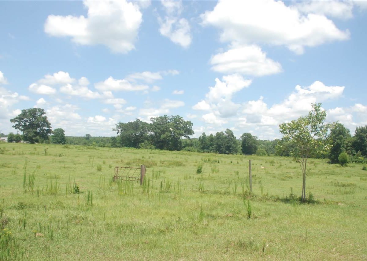 vacant grassy field
